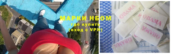 стафф Аркадак