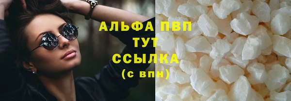 стафф Аркадак