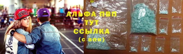 стафф Аркадак