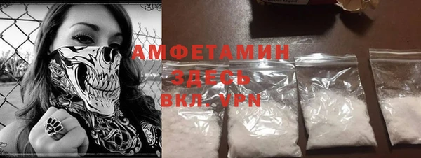 твердый Арсеньев