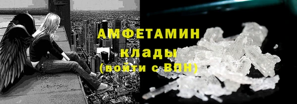 твердый Арсеньев