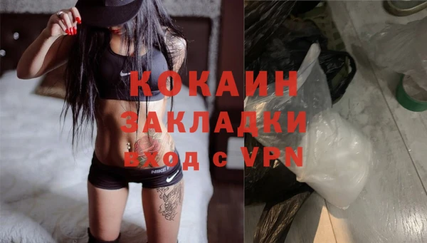 твердый Арсеньев