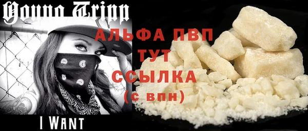 стафф Аркадак