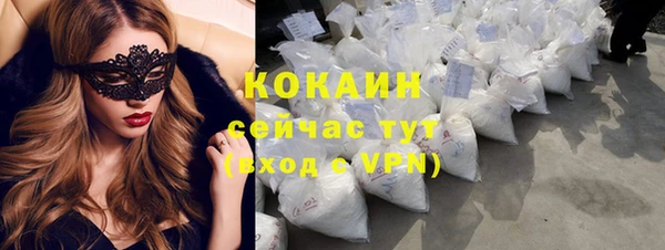 стафф Аркадак